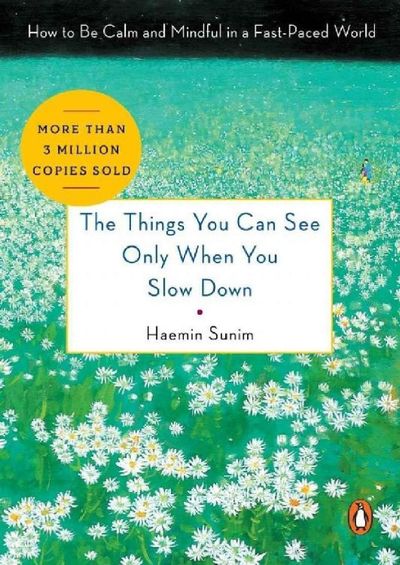Sampul The Things You Can See Only When You Slow Down